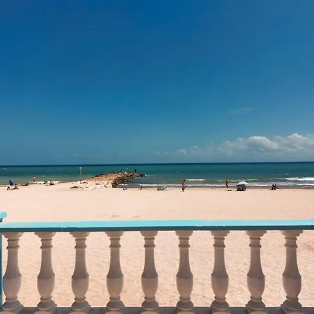 La Palmera * Τορεβιέχα