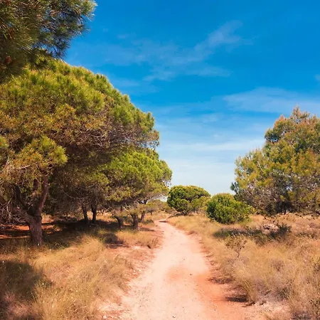 La Palmera Torrevieja