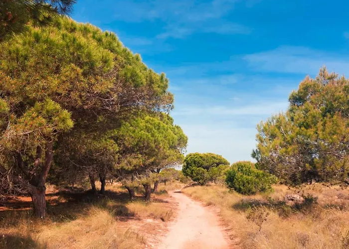 La Palmera Torrevieja